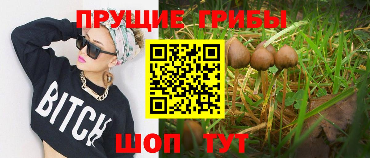 Галлюциногенные грибы мицелий Энгельс