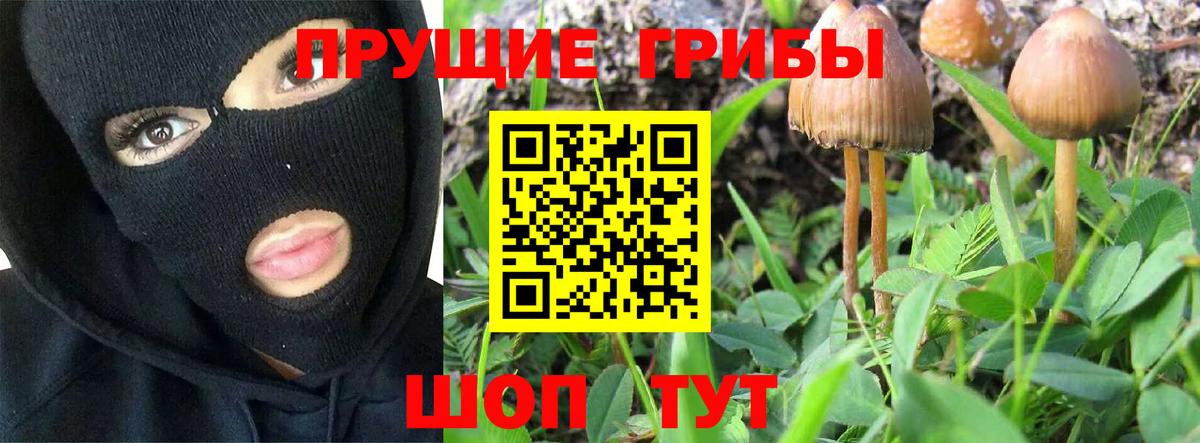 Галлюциногенные грибы Psilocybine cubensis  где найти наркотики  Энгельс  Вход с VPN 