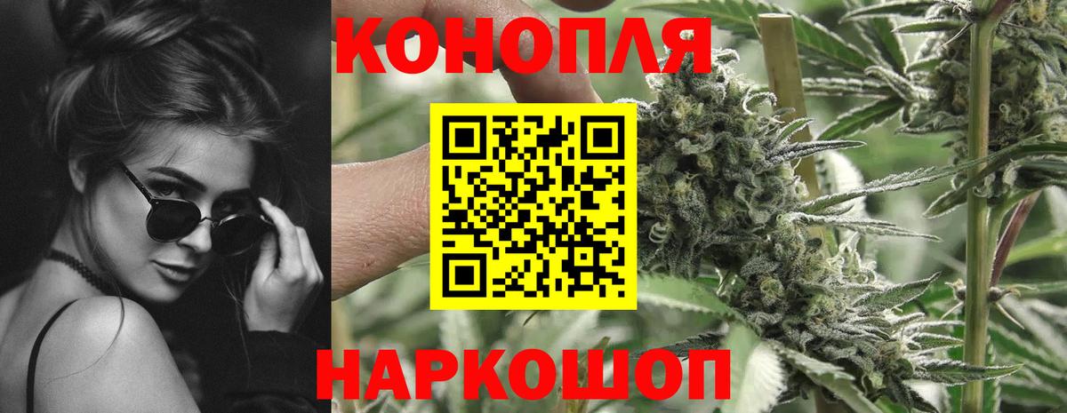 Конопля конопля Энгельс